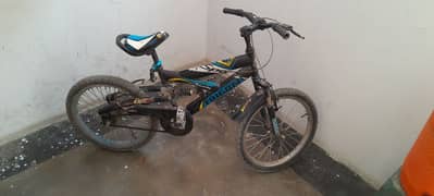 use bicycle 03151090779