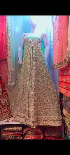 Walima Briddle dress (5000 discount)
