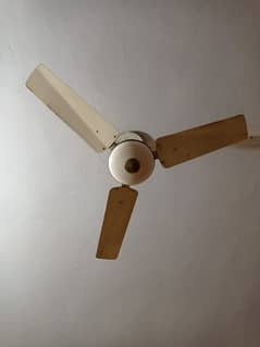 Ceiling fan at 10% discount