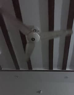 ceiling fan pure copper no any fault