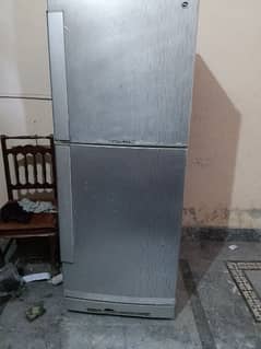 PEL Refrigerator 0303/4800256 0