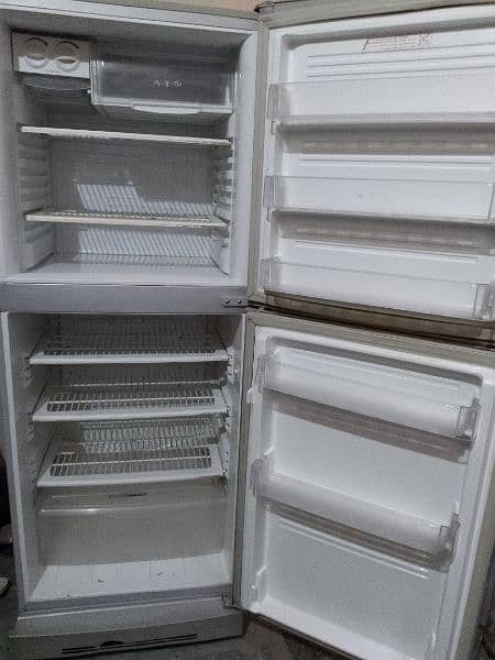 PEL Refrigerator 0303/4800256 1