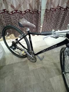 Giant Escape R3 bicycle