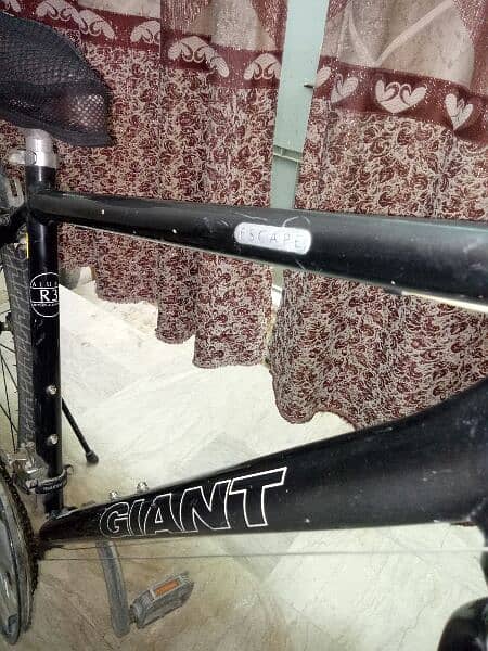 Giant Escape R3 bicycle 4