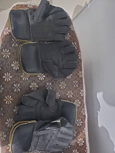 wicket keeping gloves 1
