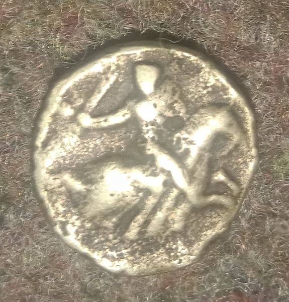 coin for sail 5