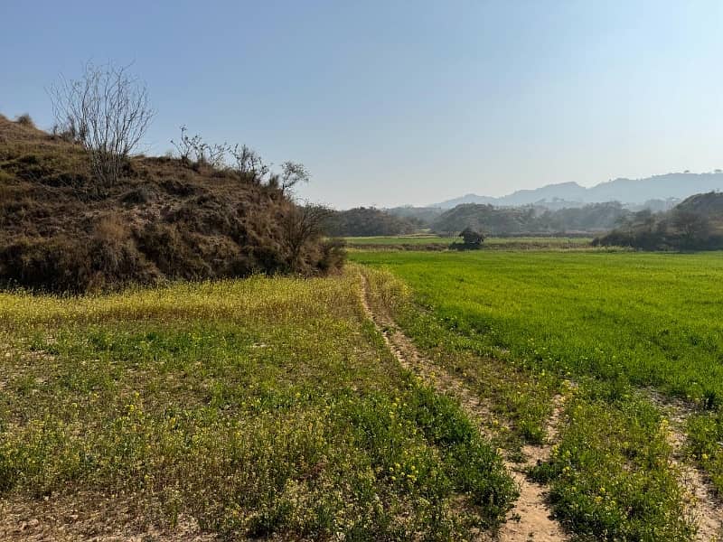 210 kanal agriculture land for sale in klar khar chakwal 2