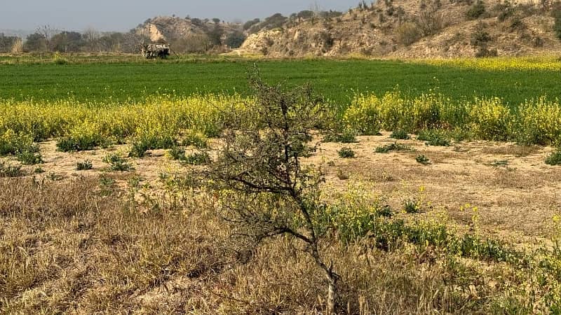 210 kanal agriculture land for sale in klar khar chakwal 5