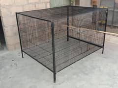 Cage folding 10 no. wire lovebird RAW
 Ring neck Grey Parrot Hen cage
