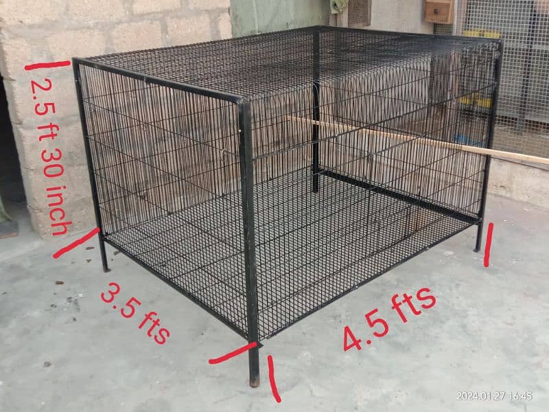 folding cage 10 no. wire lovebird RAW
 Ring neck Grey Parrot Hen cage 2