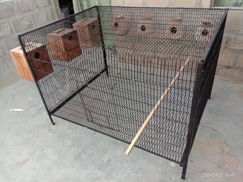 folding cage 10 no. wire lovebird RAW
 Ring neck Grey Parrot Hen cage 4