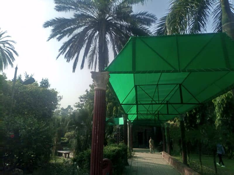 Green Tarpal For Saaya and Parda 11