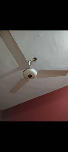 Pak Fan"  56 inches, good condition