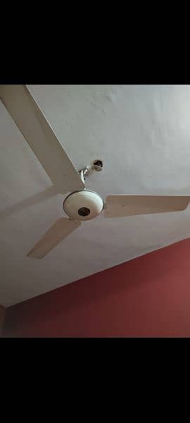 Pak Fan"  56 inches, good condition 0