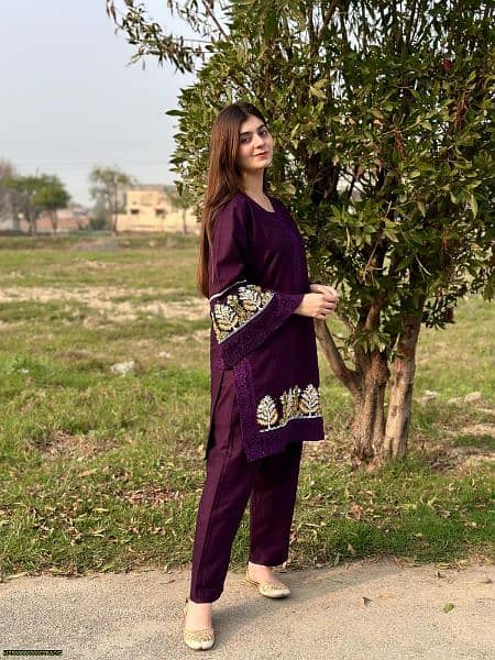 2 Pcs Women's Stitched Cotton Embroidered Shirt And Trouser 10