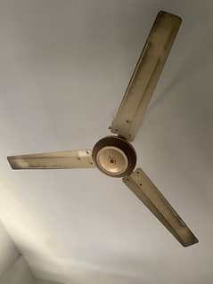 2 fans available for sell