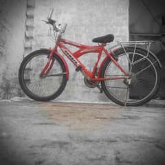 Cycle for sell.