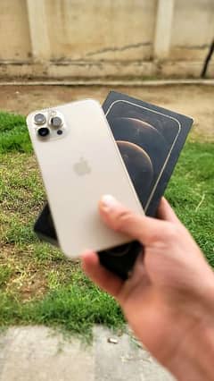 Apple Iphone 12 Pro Max 256Gb Pta Approved