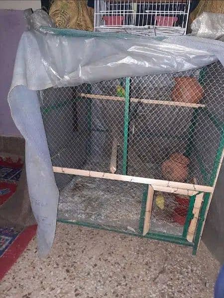 Iron birds/Hen cage for sale 1