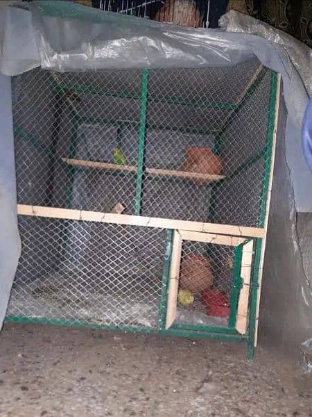 Iron birds/Hen cage for sale 2