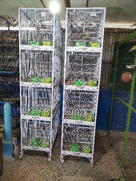 8 pairs of love birds including 2 tower cages (2.5 x 1.5 x 1.5) 0