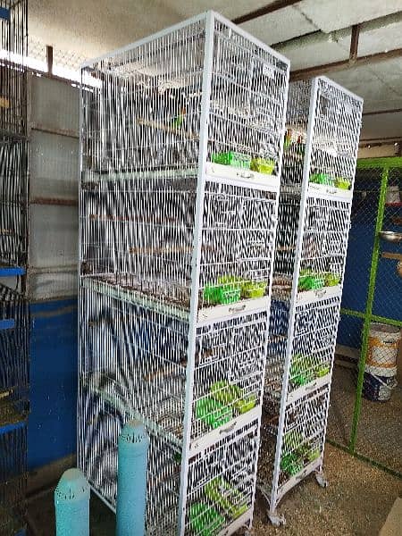8 pairs of love birds including 2 tower cages (2.5 x 1.5 x 1.5) 2