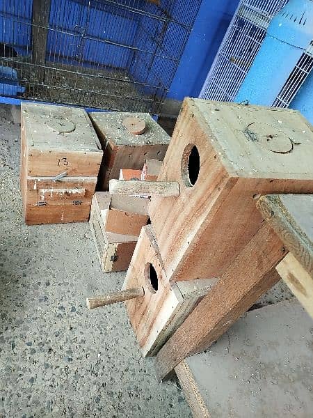 8 pairs of love birds including 2 tower cages (2.5 x 1.5 x 1.5) 3