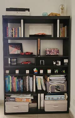 Two Sided Book Shelf