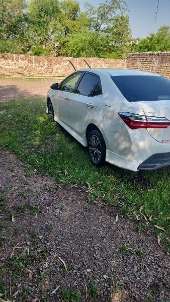 Altis limited edition 3