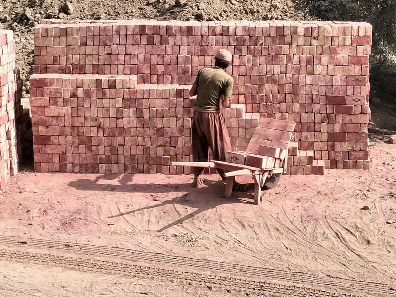 Bricks for sale / eent for sale / Bhatta bricks for sale 2