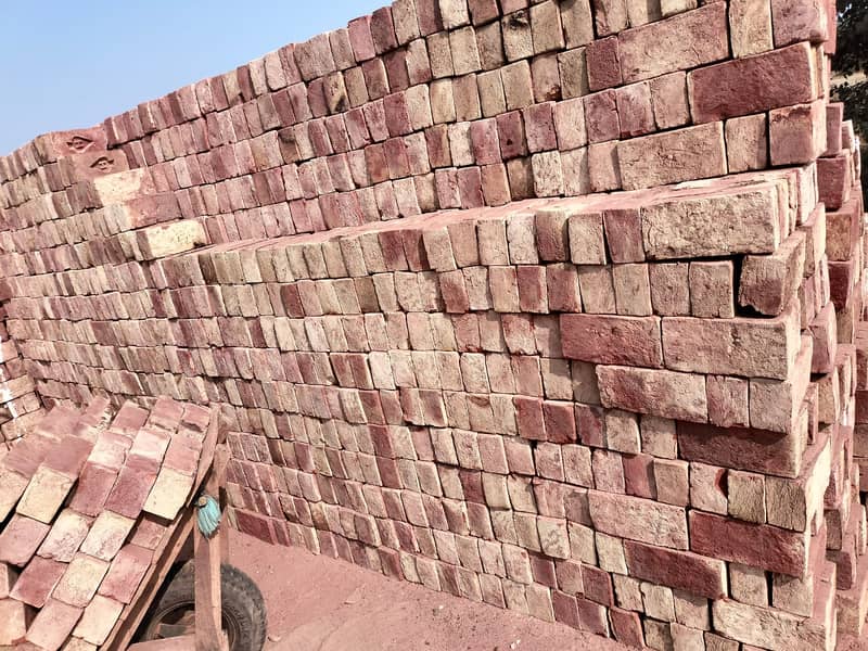 Bricks for sale / eent for sale / Bhatta bricks for sale 4