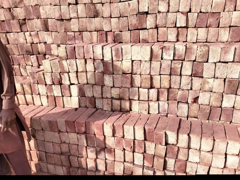 Bricks for sale / eent for sale / Bhatta bricks for sale 9