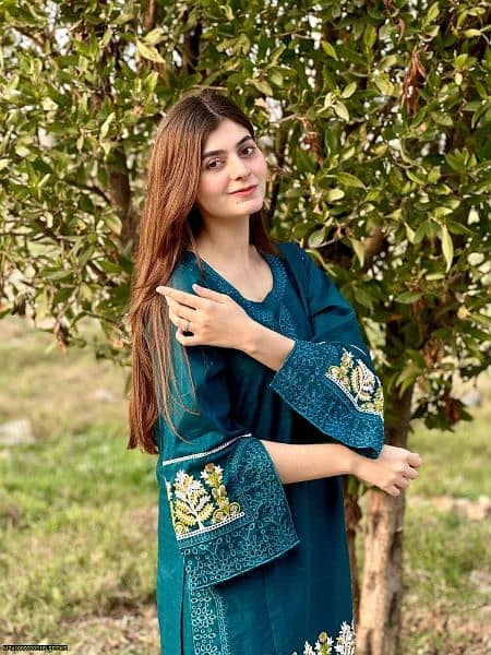 2 Pcs Women's Stitched Cotton Embroidered Shirt And Trouser 12