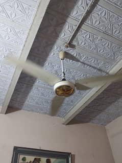house use fans for sale