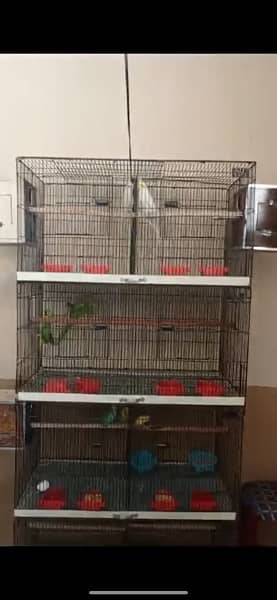 I am selling my whole Birds, Parrots setup 1