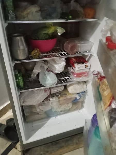 PEL Refrigerator in mint condition 2