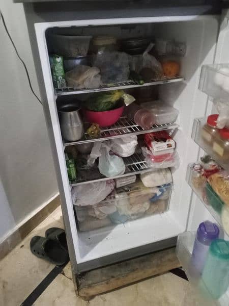 PEL Refrigerator in mint condition 4