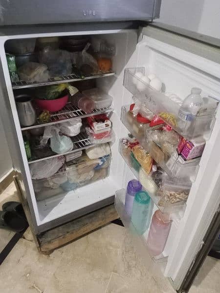 PEL Refrigerator in mint condition 5