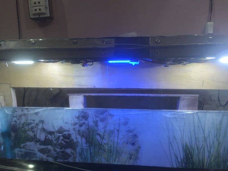 Fish Aquarium 7