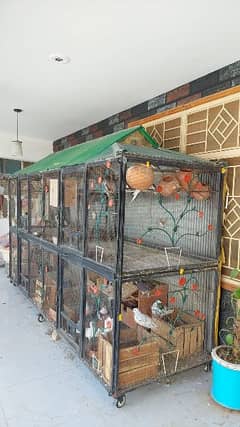 BEST CAGE FOR PARROTS AND PIGEONS