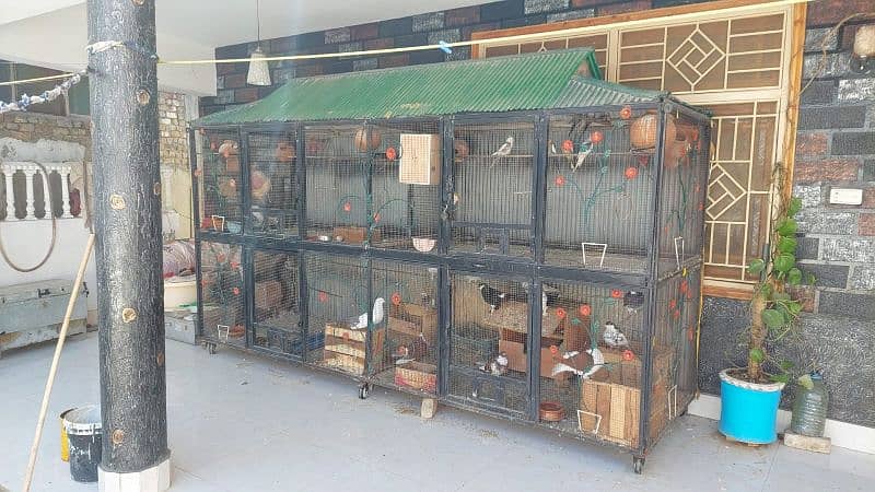 BEST CAGE FOR PARROTS AND PIGEONS 1