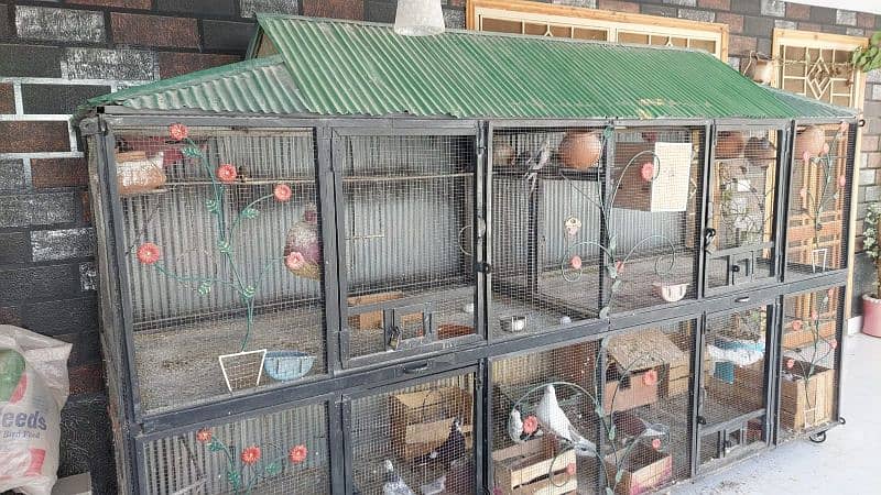 BEST CAGE FOR PARROTS AND PIGEONS 2