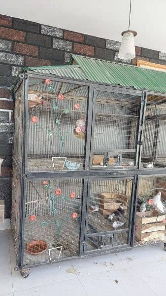 BEST CAGE FOR PARROTS AND PIGEONS 3