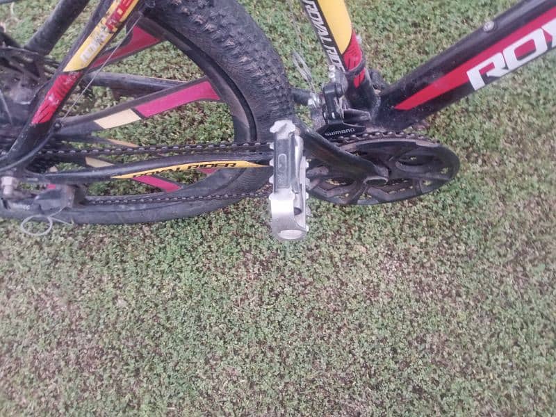 Royal riders 10/9 condition lush side stand removed tyre new chain new 2