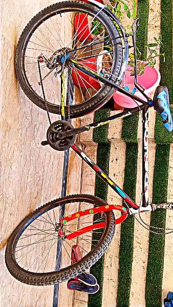phonix bicycle 2