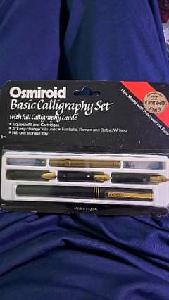 fountain calligraphy pen 22 carat gold plated nibs