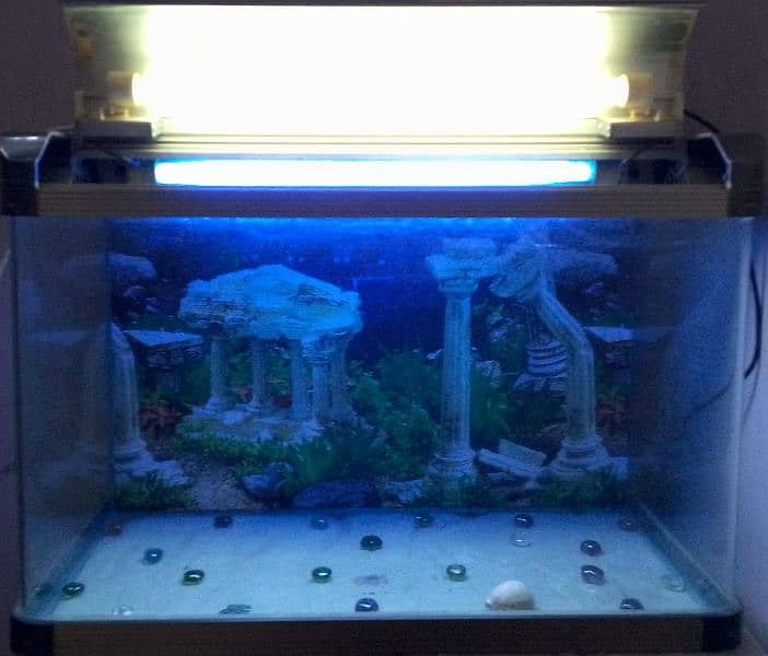 AQUARIUM ON SALE 2