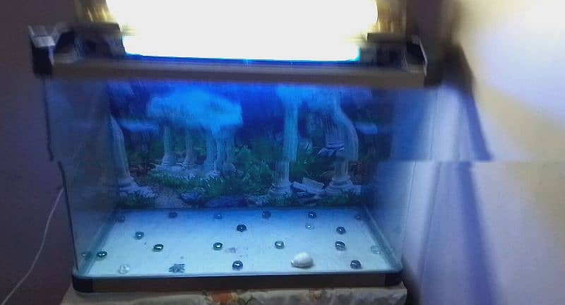 AQUARIUM ON SALE 4