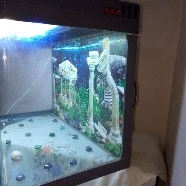 AQUARIUM ON SALE 6