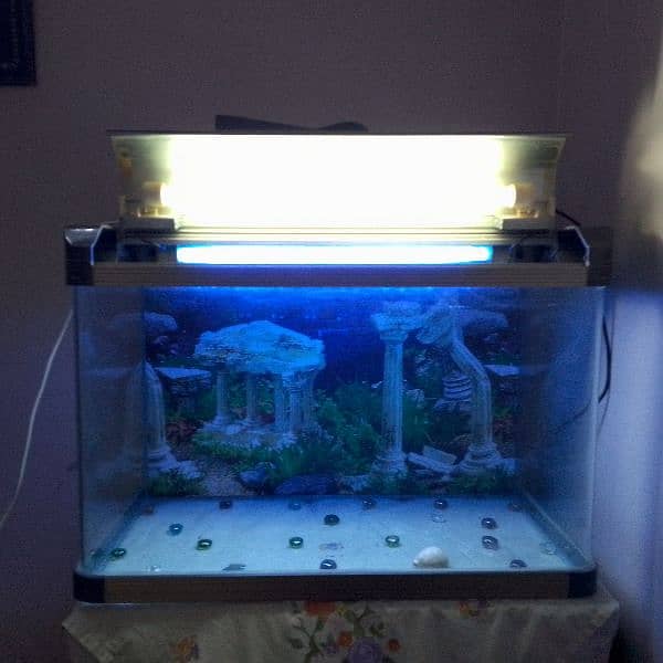 AQUARIUM ON SALE 9